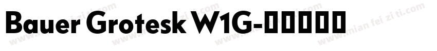 Bauer Grotesk W1G字体转换